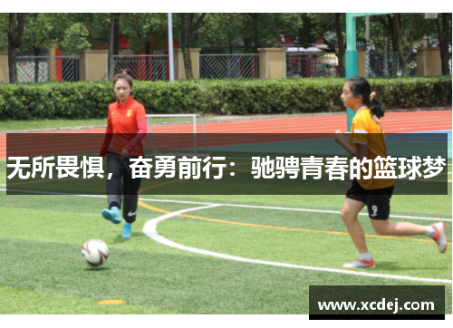 无所畏惧，奋勇前行：驰骋青春的篮球梦